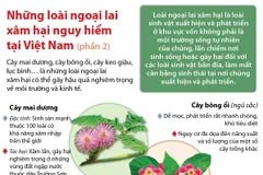 Những loài thực vật ngoại lai xâm hại nguy hiểm tại Việt Nam