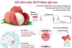 [Infographics] Vải sớm năm 2019 được giá cao bất ngờ