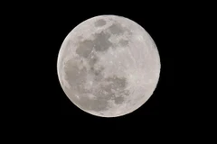 Mặt trăng nhìn từ Los Angeles, Mỹ, ngày 20/3/2019. (Ảnh: AFP/ TTXVN)