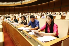 Đoàn Đại biểu Quốc hội tỉnh Vĩnh Phúc dự phiên họp. (Ảnh: Phương Hoa/TTXVN)