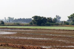 (Ảnh minh họa: Lê Huy Hải/TTXVN)