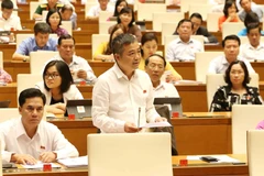 Đại biểu Quốc hội tỉnh An Giang Nguyễn Lân Hiếu phát biểu. (Ảnh: Phương Hoa/TTXVN)