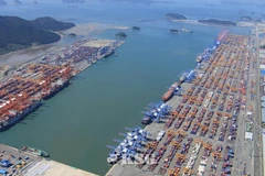 Cảng Busan. (Nguồn: Business Korea)