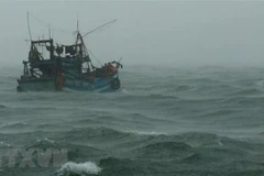 Ảnh minh họa. (Nguồn: TTXVN)