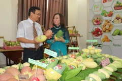 Giám đốc Sở Nông nghiệp và Phát triển nông thôn tỉnh An Giang Nguyễn Sĩ Lâm và bà Nguyễn Thị Hồng Thu, Giám đốc Công ty Chánh Thu trao đổi về tiềm năng xuất khẩu xoài của tỉnh An Giang trong thời gian tới. (Ảnh: Công Mạo/TTXVN)