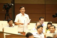 Đại biểu Quốc hội tỉnh Bình Phước Phan Viết Lượng phát biểu. (Ảnh: Phương Hoa/TTXVN)