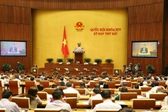 (Ảnh: Dương Giang/TTXVN)