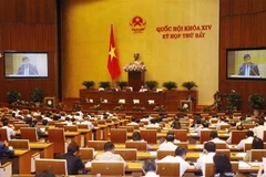 (Ảnh: Lâm Khánh/TTXVN)