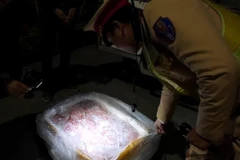 (Ảnh minh họa: TTXVN phát)