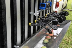 (Nguồn: weeklytimesnow.com.au)