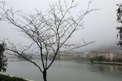 Thị trấn Sa Pa chìm trong sương mù và giá lạnh. (Ảnh: Quốc Khánh/TTXVN)