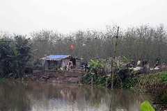 Căn nhà tạm của gia đình ông Đoàn Văn Vươn. (Ảnh: Hoàng Ngọc/TTXVN)