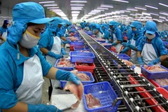 (Ảnh minh họa: Duy Khương/TTXVN)