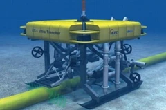 Ảnh minh họa. (Nguồn: Internet)