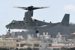 Máy bay MV-22 Osprey hạ cánh tại Căn cứ không quân Futenma ở thành phố Ginowan, tỉnh Okinawa. (Nguồn: Kyodo/TTXVN)