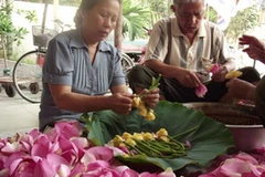 Tách lấy gạo sen ướp trà. (Nguồn: Internet)