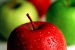 Ảnh minh họa. (Nguồn: news.com.au)