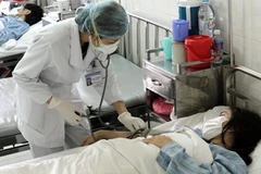 (Ảnh: Dương Ngọc/TTXVN)