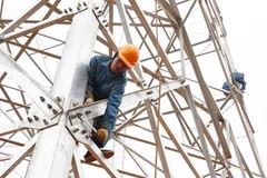 (Ảnh minh họa: Ngọc Hà/TTXVN)