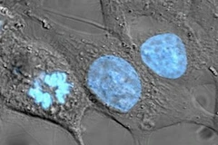 Ảnh minh họa. (Nguồn: Internet)