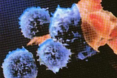 Ảnh minh họa. (Nguồn: Internet)