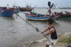 (Ảnh minh họa: Võ Thị Dung/TTXVN)