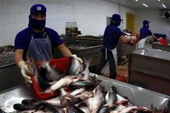 Chế biến thủy sản tại khu công nghiệp Trà Nóc 2, TP. Cần Thơ. (Ảnh: Duy Khương/TTXVN)