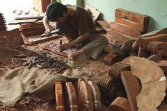 (Ảnh minh họa: Trần Tuấn/TTXVN.)