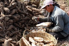 Ảnh chỉ có tính minh họa. (Ảnh: Trần Lê Lâm/TTXVN)