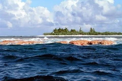 Đảo Rose, một trong hai đảo nhỏ nằm trong phá thuộc đảo san hô vòng ở Samoa. (Nguồn: AFP/TTXVN)