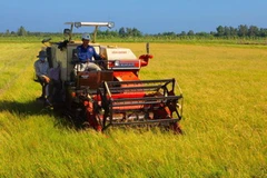 (Ảnh minh họa: Duy Khương/TTXVN)