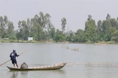 Ảnh minh họa. (Nguồn: Internet)