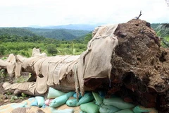 (Ảnh minh họa: Thế Lập/TTXVN)