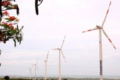 (Ảnh minh họa: Ngọc Hà/TTXVN)