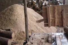 Phế liệu gỗ có thể được dùng để tạo ra năng lượng sinh học. (Nguồn: Internet)