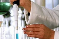 Ảnh minh họa. (Nguồn: Internet)