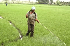 (Ảnh minh họa: Huy Hoàng/TTXVN)