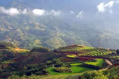 Ruộng bậc thang ở Sa Pa (Lào Cai). (Ảnh: Nguyễn Thủy/TTXVN)