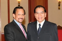 Tổng Bí thư Nông Đức Mạnh tiếp Quốc vương Brunei Haji Hassanal Bolkiah. (Ảnh: Đinh Xuân Tuân/TTXVN)