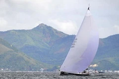 Ảnh minh họa. (Nguồn: Internet)