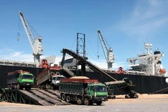 ốc xếp hàng xuất khẩu xuống tàu tại cảng Vũng Áng. (Ảnh: Hà Thái/TTXVN)