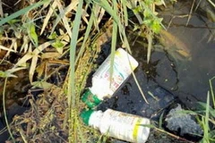 Ảnh minh họa. (Nguồn: Internet)