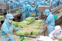 Một mặt hàng xuất khẩu chính của Việt Nam là thủy sản. (Ảnh: Duy Khương/TTXVN)