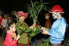 Mua lộc cầu may tại phiên chợ đình Bích La. (Ảnh: Hồ Cầu/TTXVN)