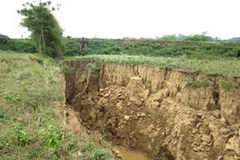 Sạt lở nghiêm trọng đê sông Lô thuộc địa phận xã Sầm Dương, Tuyên Quang. (Nguồn: Baotuyenquang.com.vn)