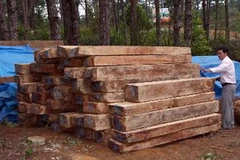 (Ảnh minh họa: Trần Lê Lâm/TTXVN)