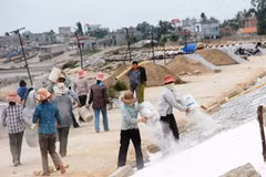Bảo vệ đê kè Ninh Phú xã Đa Lộc, huyện Hậu Lộc, Thanh Hóa trước giờ cơn bão số 1. (Ảnh: Trọng Đạt/TTXVN)