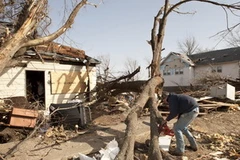 Cảnh tàn phá sau lốc xoáy tràn qua Harveyville,bang Kansas ngày 29/2. (Nguồn: AFP/TTXVN)