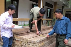 Cán bộ Đội Kiểm lâm cơ động và phòng cháy chữa cháy rừng số 1 kiểm tra số lâm sản thu giữ trên xe ôtô BKS 29H-5755. (Ảnh: Minh Tâm/VIetnam+)