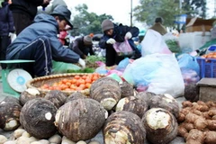 Mua bán rau củ tại chợ đầu mối phía nam Hà Nội. (Ảnh: An Đăng/TTXVN)